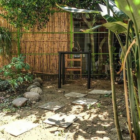 Chill Green Beautiful Downtown Area Tv Good Wifi Oaxaca Luaran gambar