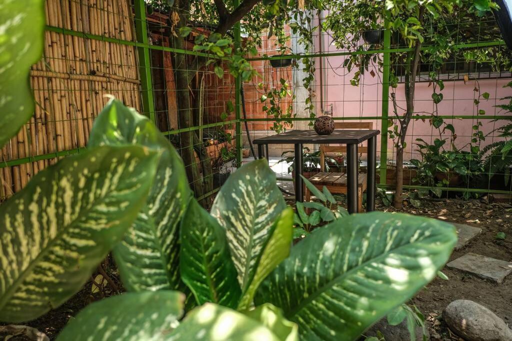 Chill Green Beautiful Downtown Area Tv Good Wifi Oaxaca Luaran gambar