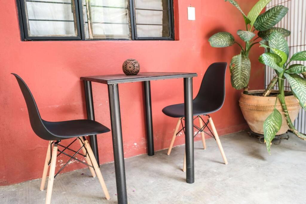Chill Green Beautiful Downtown Area Tv Good Wifi Oaxaca Luaran gambar